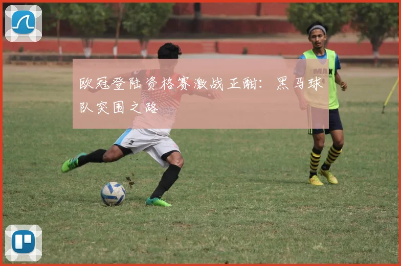 欧冠登陆资格赛激战正酣：黑马球队突围之路