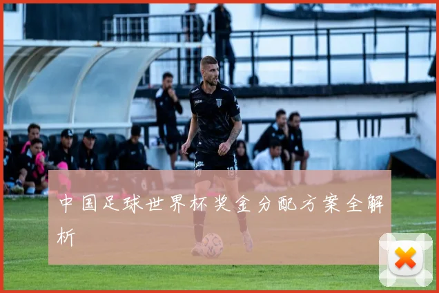 中国足球世界杯奖金分配方案全解析