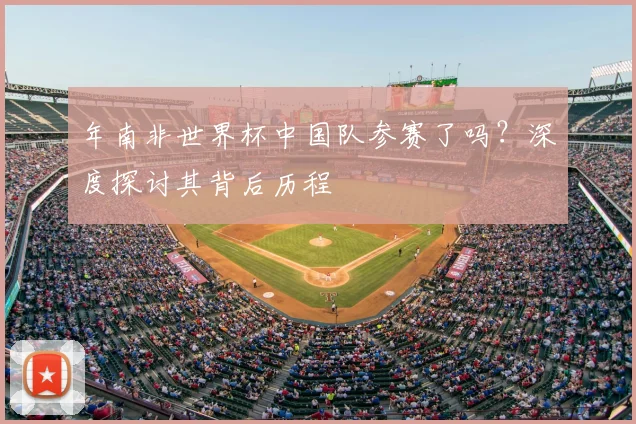 年南非世界杯中国队参赛了吗？深度探讨其背后历程