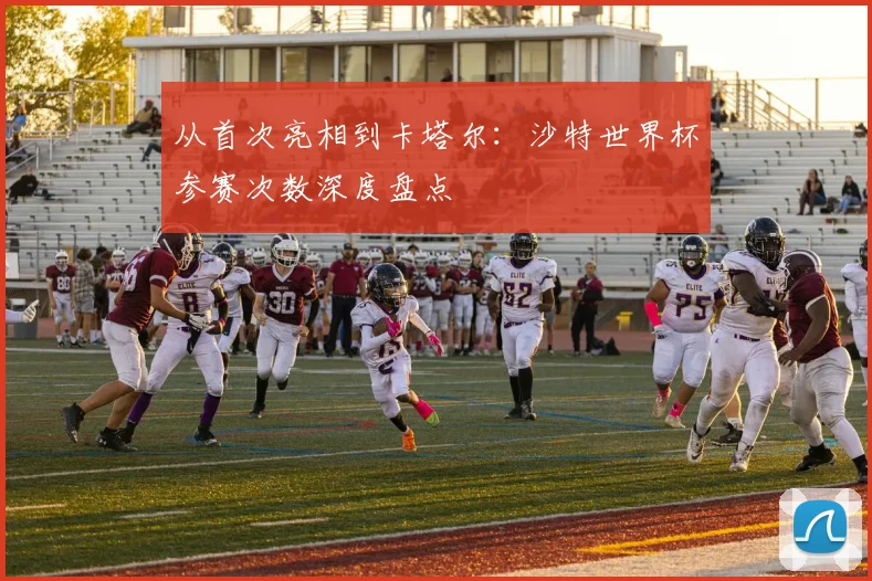 从首次亮相到卡塔尔:沙特世界杯参赛次数深度盘点