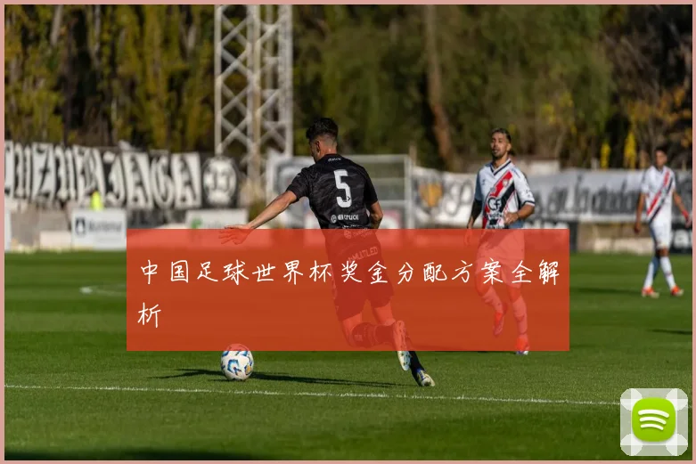 中国足球世界杯奖金分配方案全解析