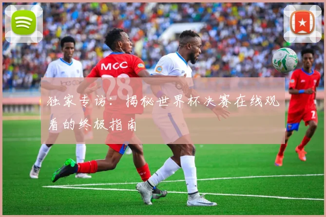 独家专访：揭秘世界杯决赛在线观看的终极指南